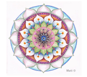 ������ ��� ���