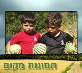 ���� �������